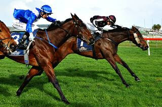 Flaunting (NZ) Leads Home Karaka Trifecta in Castletown. Image: Race Images, Palmerston North.